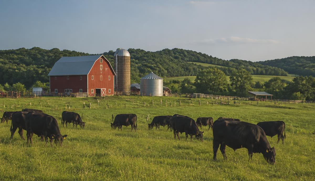 A Missouri family farm with a red barn, grain bin and cattle grazing